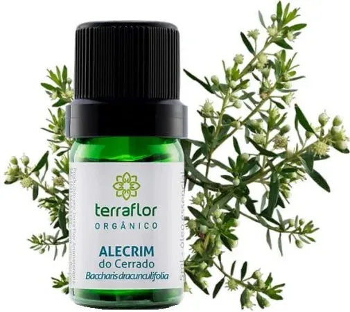 Óleo Essencial de Alecrim Do Cerrado(Orgânico)Terra Flor-Frasco com 5m