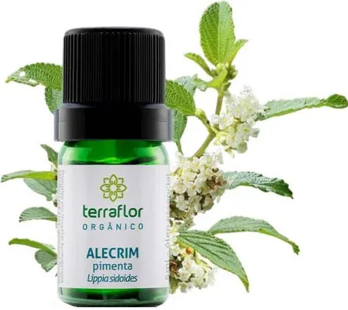 Óleo Essencial de Alecrim Pimenta (Orgânico) Terra Flor-Frasco com 5ml