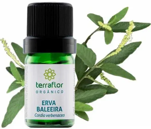 Óleo Essencial de Erva Baleeira (Orgânico) Terra Flor - Frasco com 5ml