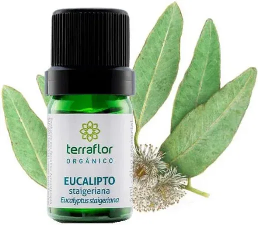 Óleo Essencial de EucaliptoStaigeriana(Orgânico)Terra FlorFrascocom5ml
