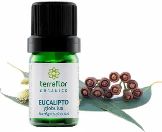 Óleo Essencial de Eucalipto Glóbulos(Orgânico)Terra Flor-Frasco com 5m