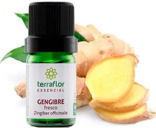 Óleo Essencial de Gengibre Fresco - Terra Flor - Frasco com 5ml