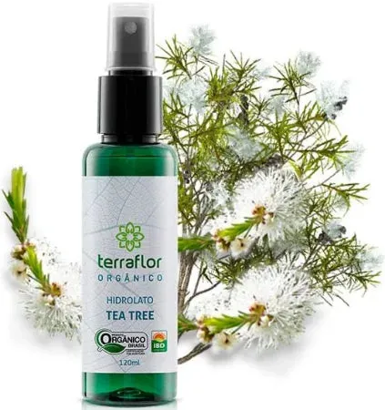 Hidrolato (Orgânico) de Tea Tree - Terra Flor - Frasco com 120ml
