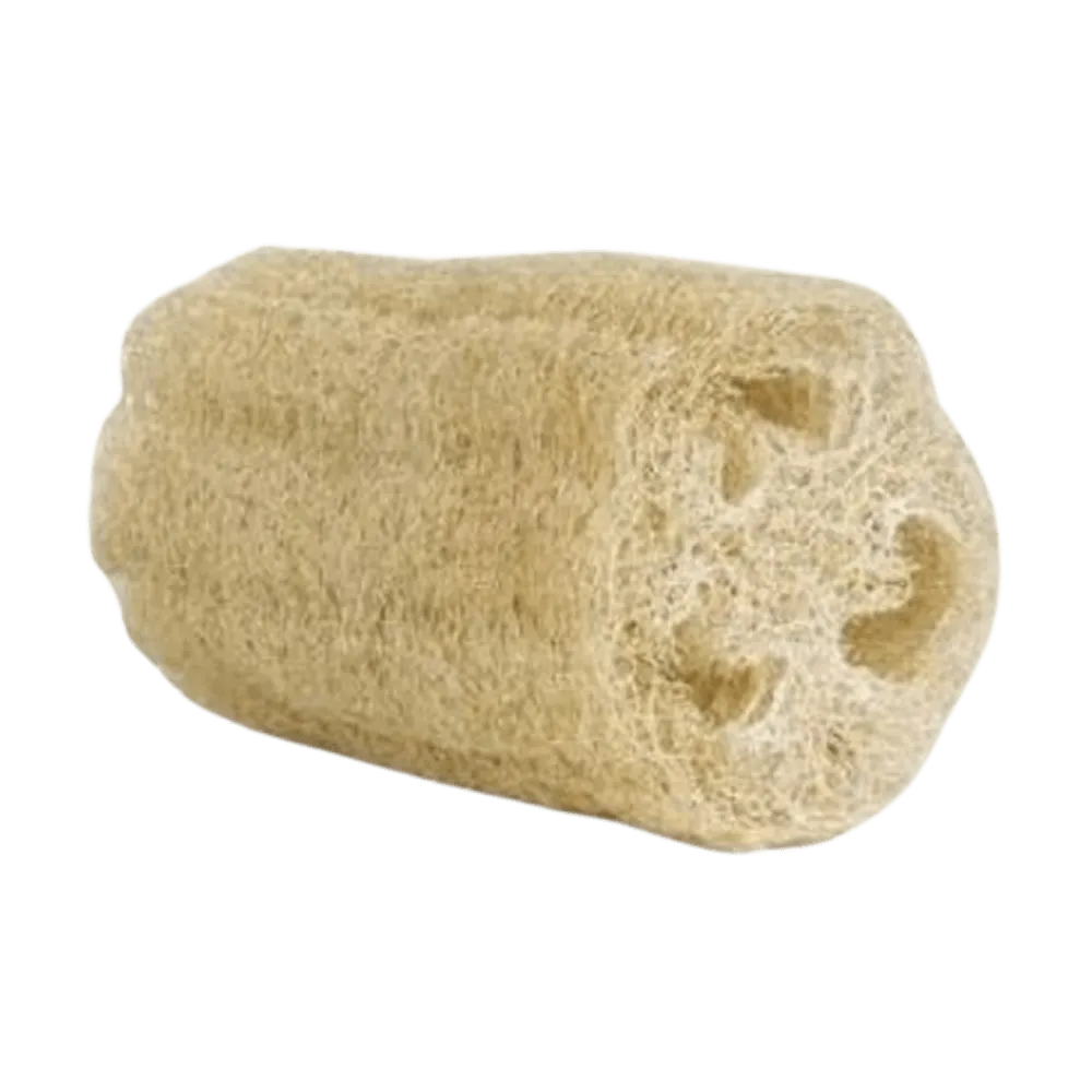 Bucha Vegetal Ricca Natural Pedaço 14cm Ref 3417