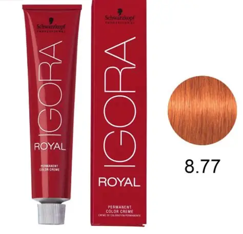 Coloração Igora Royal 8.77 60G Schwarzkopf