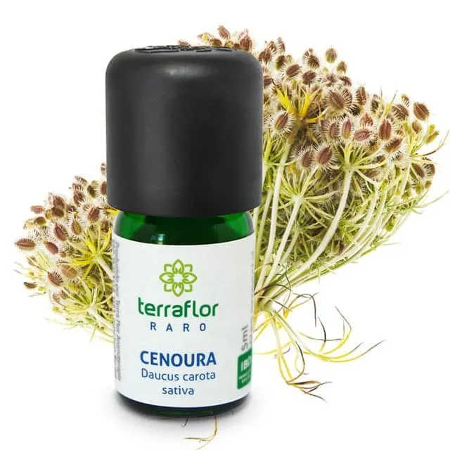 Óleo Essencial de Cenoura (sementes) - Terra Flor - Frasco com 5ml