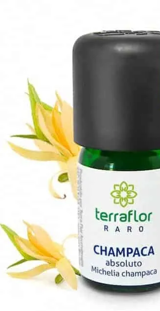 Óleo Essencial de Absoluto Champaca - Terra Flor - Frasco com 3ml