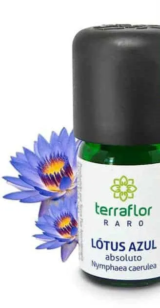 Óleo Essencial de Absoluto Lótus Azul - Terra Flor - Frasco com 3ml
