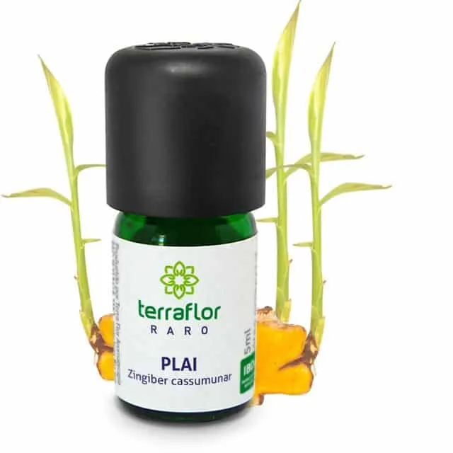 Óleo Essencial de Plai - Terra Flor - Frasco com 5ml