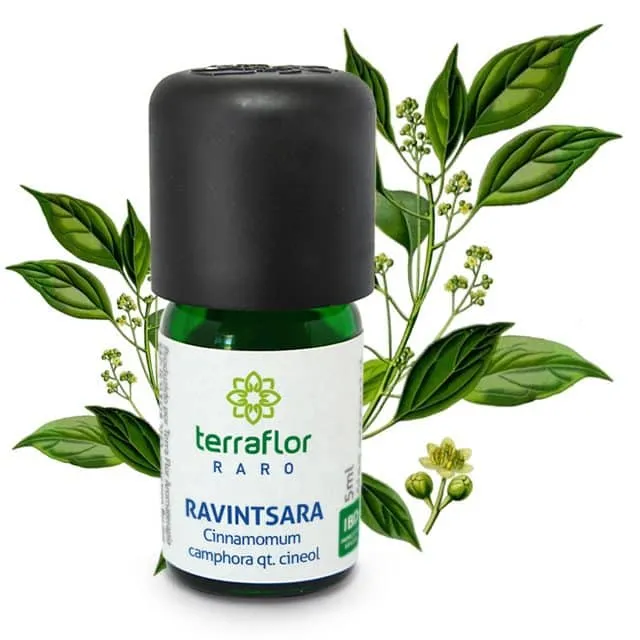 Óleo Essencial de Ravintsara qt. Cineol - Terra Flor - Frasco com 5ml