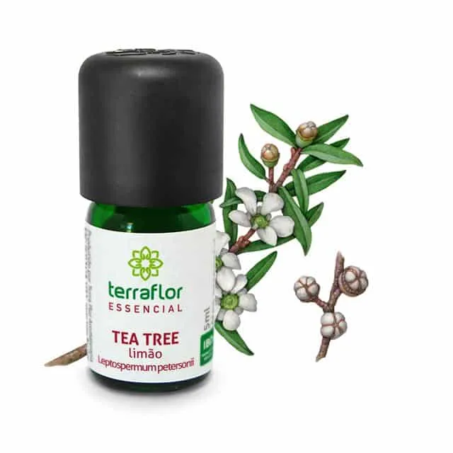 Óleo Essencial de Tea Tree Limão - Terra Flor - Frasco com 5ml